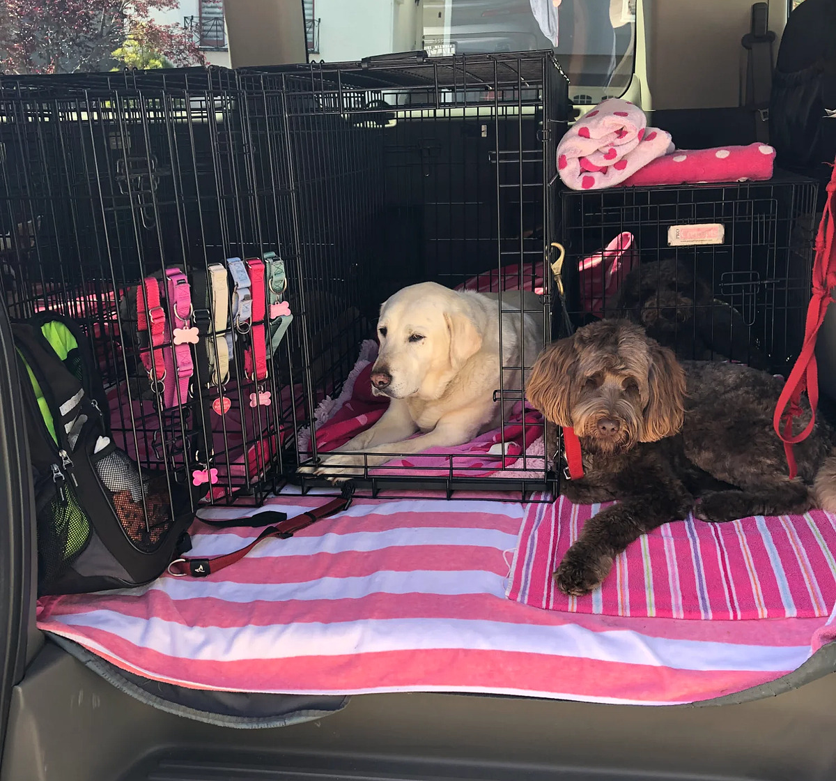Professional individual crate setup with organized equipment