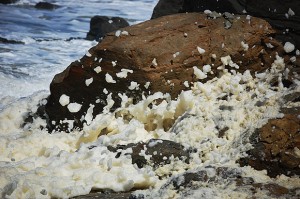Sea foam at Fort Funston beach
