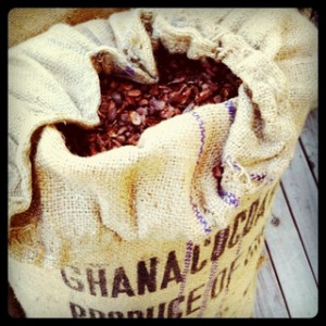 Cocoa mulch - dangerous for dogs