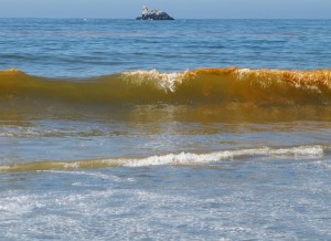 Red Tide at Fort Funston