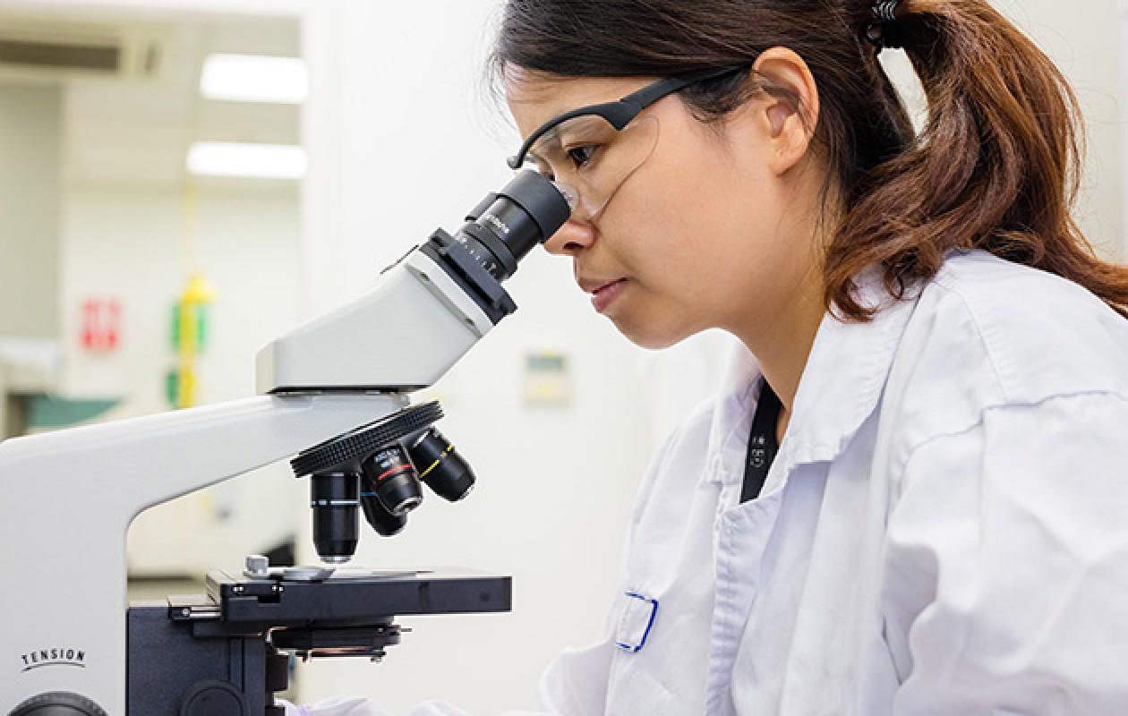 Veterinary health monitoring