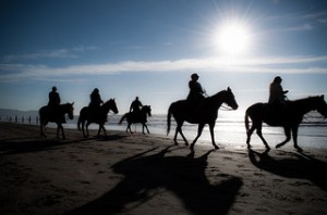 Horses on Fort Funston Beach