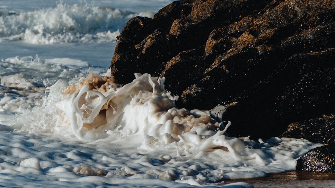 Sea Foam at Fort Funston