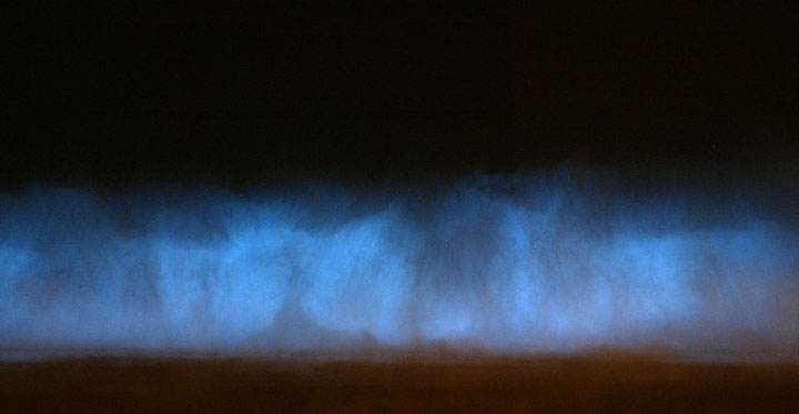 Bioluminescent Red Tide Wave